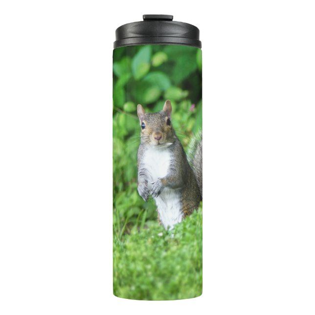 Eichhörnchen Thermosbecher (Vorderseite)