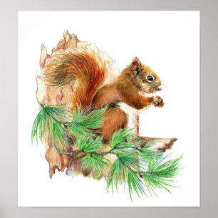 Eichhörnchen Tier Wildlife Poster