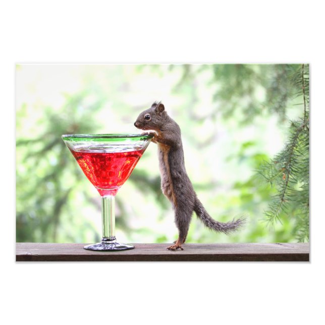 Eichhörnchen trinken einen Cocktail Fotodruck (Vorne)