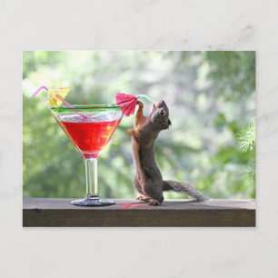 Eichhörnchen trinken einen Cocktail in Happy Hour Postkarte
