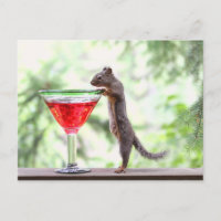Eichhörnchen trinken einen Cocktail