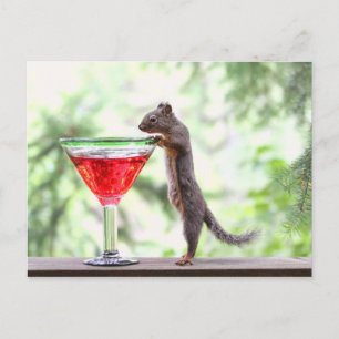 Eichhörnchen trinken einen Cocktail Postkarte