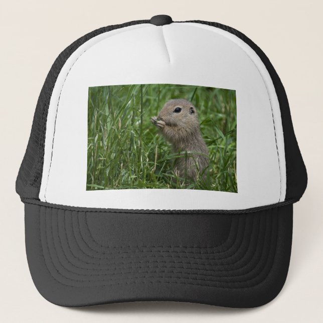 Eichhörnchen Truckerkappe (Vorderseite)