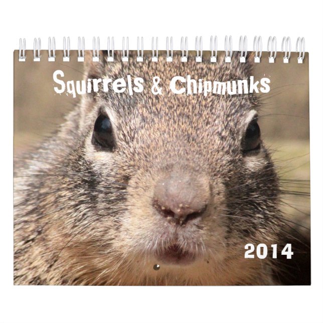 Eichhörnchen u. Chipmunks Kalender (Titelbild)