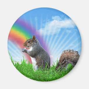 Eichhörnchen und Rainbow Sky Magnet