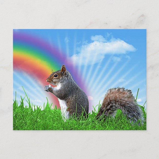 Eichhörnchen und Rainbow Sky Postkarte (Vorderseite)
