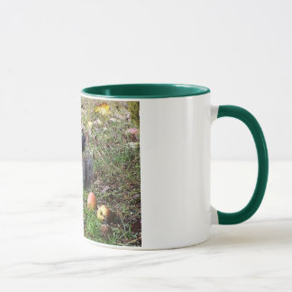 Eichhörnchen-und Steller Jay-Tier-Tasse Tasse