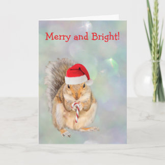 Eichhörnchen und Zuckerstangen-Weihnachten  Feiertagskarte