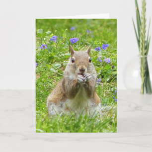 Eichhörnchen unter wilden Violetten Karte