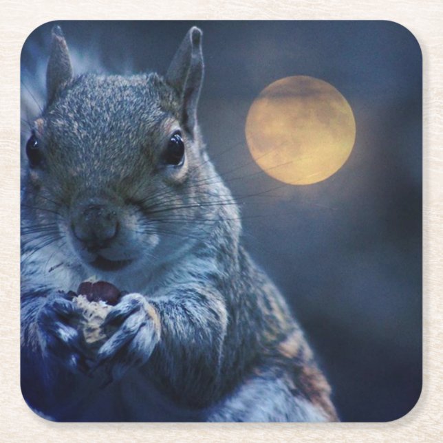 Eichhörnchen-Untersetzer Rechteckiger Pappuntersetzer (Vorderseite)