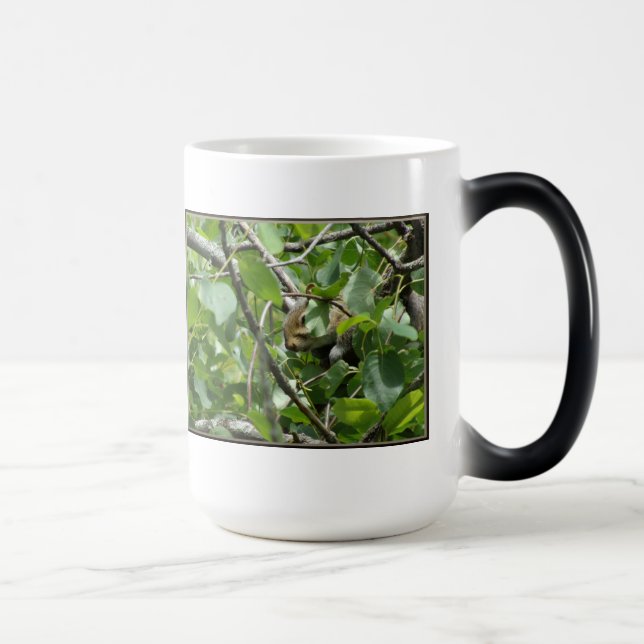 Eichhörnchen Verstecken der Morphing-Tasse Verwandlungstasse (Rechts)