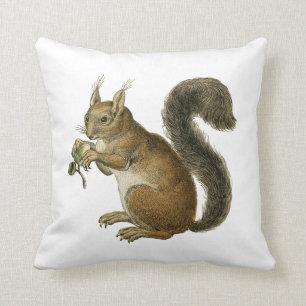 Eichhörnchen Vintag Illustration Kissen