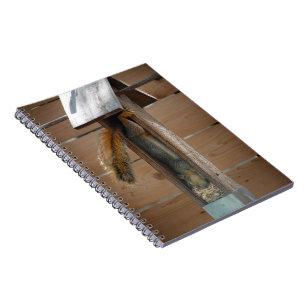 Eichhörnchen-Vogelzuführung Notizblock