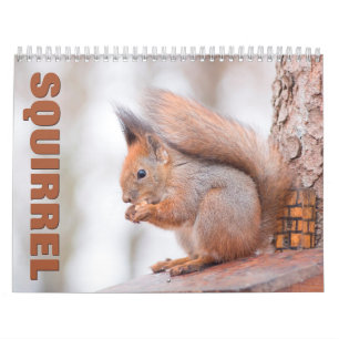 Eichhörnchen-Wall-Kalender Kalender