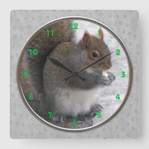 Eichhörnchen-Wanduhr Quadratische Wanduhr