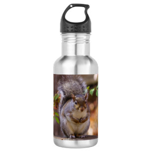 Eichhörnchen Wasser Flasche Edelstahlflasche