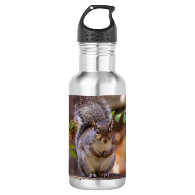 Eichhörnchen Wasser Flasche Edelstahlflasche (Vorderseite)