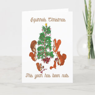 Eichhörnchen Weihnachten