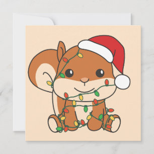 Eichhörnchen Weihnachten Wintertiere Feiertage Eic