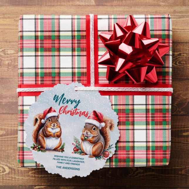 Eichhörnchen-Weihnachtsmannmütze Frohe Weihnachtss Ornament Karte (Insitu (Geschenk))