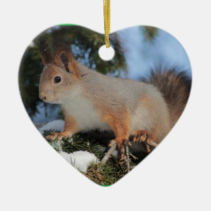 Eichhörnchen-Weihnachtsschmuck Keramikornament