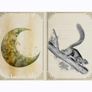 Eichhörnchen Wildtiere Vintag Illustration Gummistempel