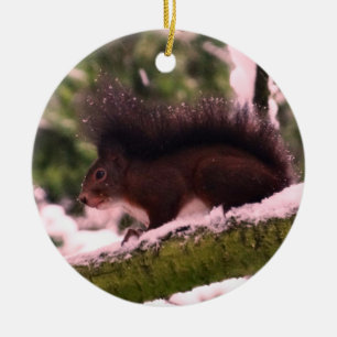 Eichhörnchen-Winterfoto-Kreisornament Keramikornament