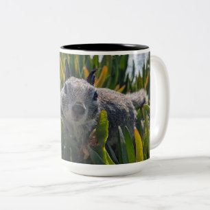Eichhörnchen Zweifarbige Tasse
