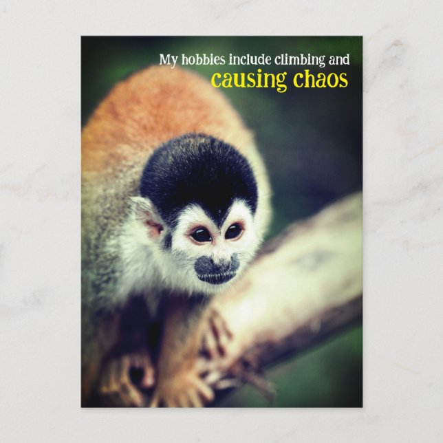 Eichhörnchenaffe Postkarte (Vorderseite)