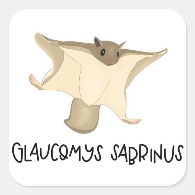 Eichhörnchenaufkleber Quadratischer Aufkleber (Vorderseite)