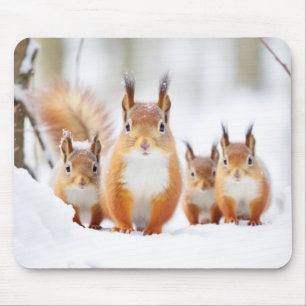 Eichhörnchenfamilie Wandernatur Mousepad