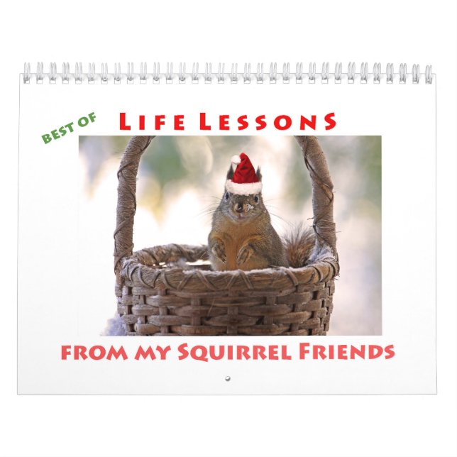 Eichhörnchenkalender - Best of Life Lessons Kalender (Titelbild)