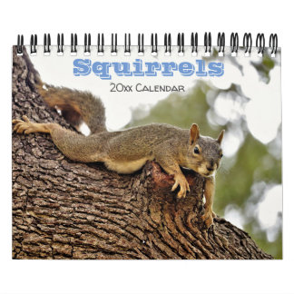 Eichhörnchenkalender für Tierfreunde oder Geschenk Kalender