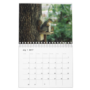 Eichhörnchenkalender Kalender