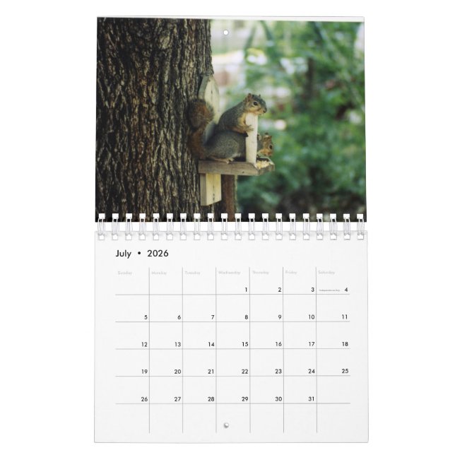 Eichhörnchenkalender Kalender