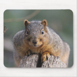 Eichhörnchenmousepad Mousepad