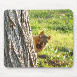 Eichhörnchenmousepad Mousepad