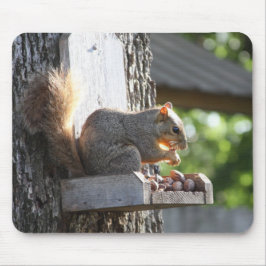 Eichhörnchenmuse Pad Mousepad