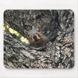 Eichhörnchenmuse Pad Mousepad