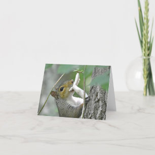 Eichhörnchennotecard Karte