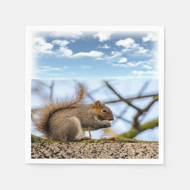 Eichhörnchenpapier Napkins Serviette (Vorderseite)