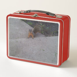 Eichhörnchenschachtel Metall Brotdose