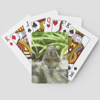 Eichhörnchenschilling in den Shade Playing Cards Spielkarten