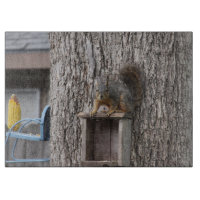 Eichhörnchenschneider