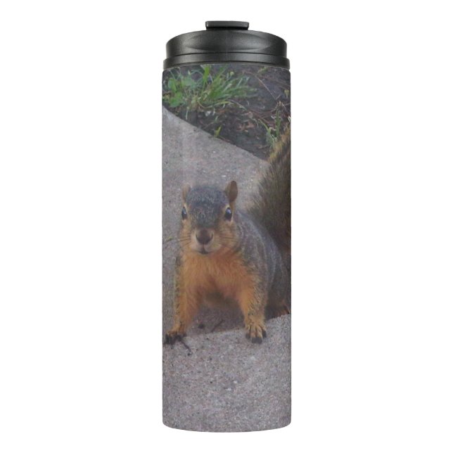 Eichhörnchentherme Thermosbecher (Vorderseite)