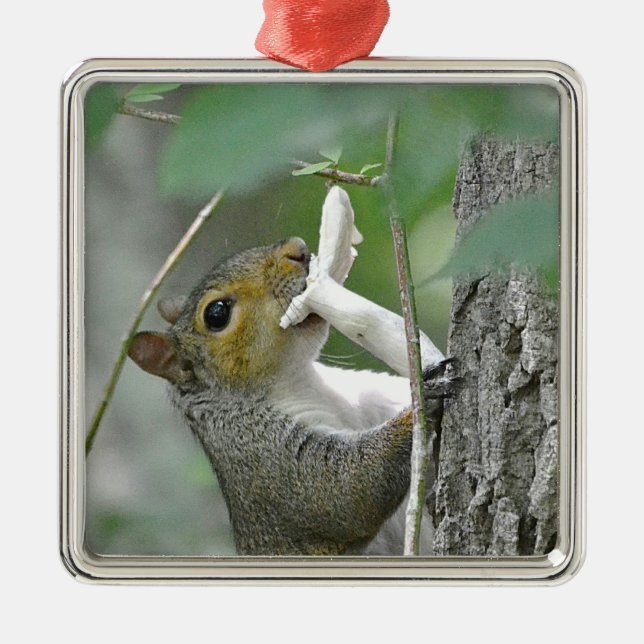 Eichhörnchenverzierung Silbernes Ornament (Vorne)