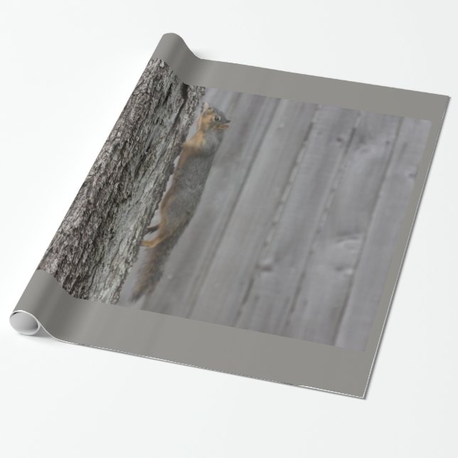 Eichhörnchenwackelpapier Geschenkpapier (Ungerollt)
