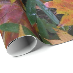 Eichhörnchenwackelpapier Geschenkpapier