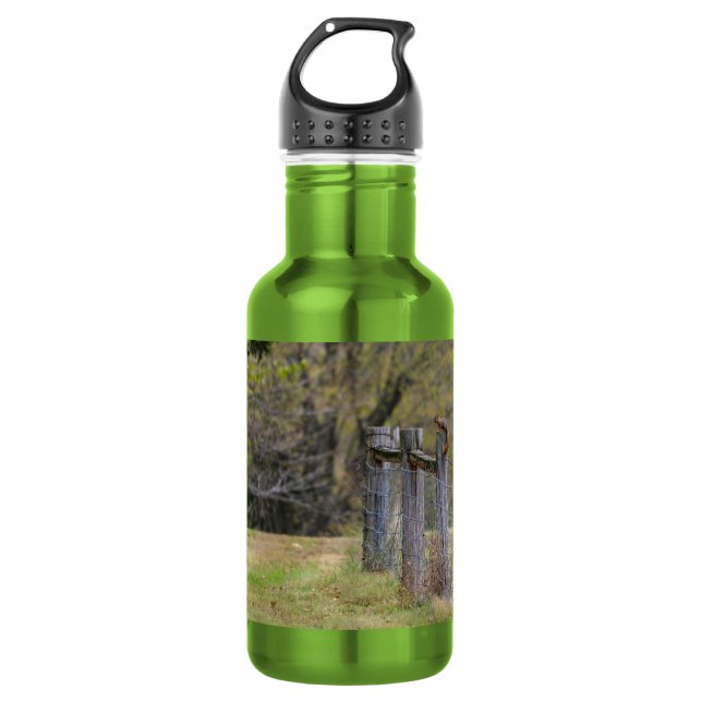 Eichhörnchenzaun Pose Edelstahl Wasserflasche (Vorderseite)