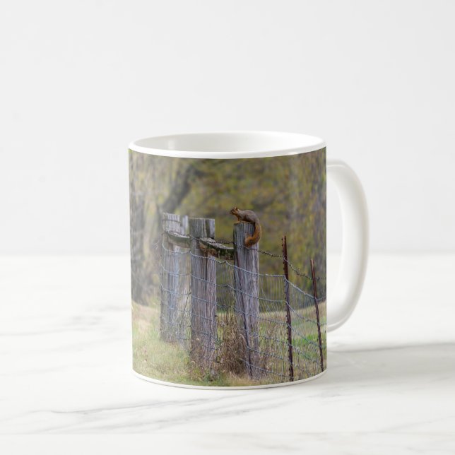 Eichhörnchenzäune Pose Kaffee Tasse (VorderseiteRechts)
